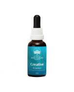 Australian Bush Flowers Creative Essence 30ml

