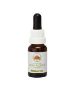 Australian Bush Flowers Hibbertia 15ml
