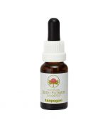 Australian Bush Flowers Isopogon 15ml

