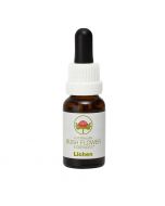 Australian Bush Flowers Lichen 15ml
