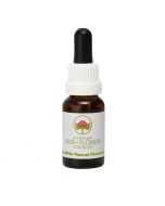 Australian Bush Flowers Little Flannel Flower 15ml
