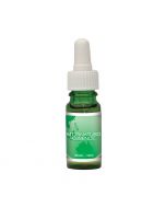 Australian Bush Flowers Mt Pinatubo Essence 10ml
