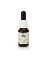 Australian Bush Flowers Sunshine Wattle 15ml
