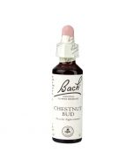 Bach Original Flower Remedies Chestnut Bud 20ml 