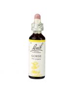 Bach Original Flower Remedies Gorse 20ml 