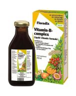 Floradix Vitamin B-Complex Liquid 250ml