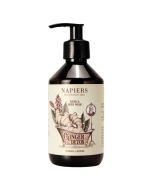 Napiers Ginger Detox Hand and Body Wash 300ml