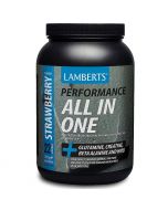 Lamberts Performance All in One 1450g
