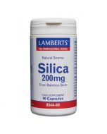 Lamberts Silica 200mg Capsules 90