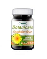 Lifeplan Dandelion Root 450mg 60 Capsules