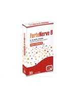 Quest Vitamins Fortenerve B Tabs 30