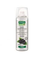 Rausch Dry Shampoo Fresh 150ml