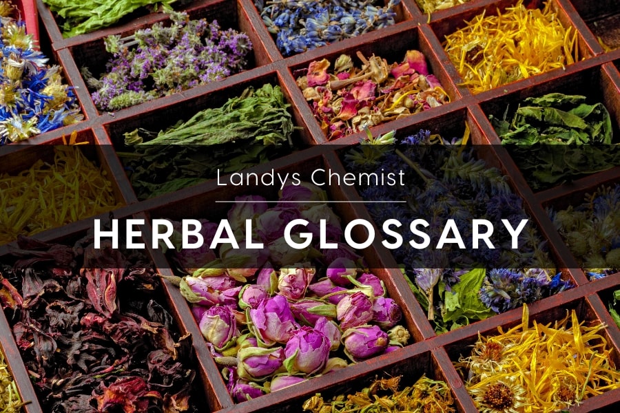 Landys chemist herbal glossary