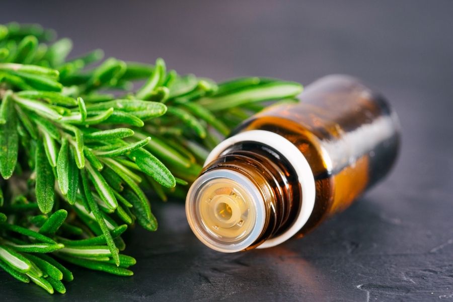 How to use rosemary oil for hair growth