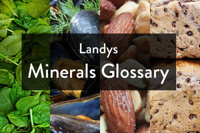 Why Do We Need Minerals? A Glossary From Landys