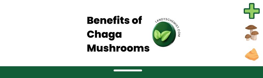 What are the benefits of chaga mushrooms