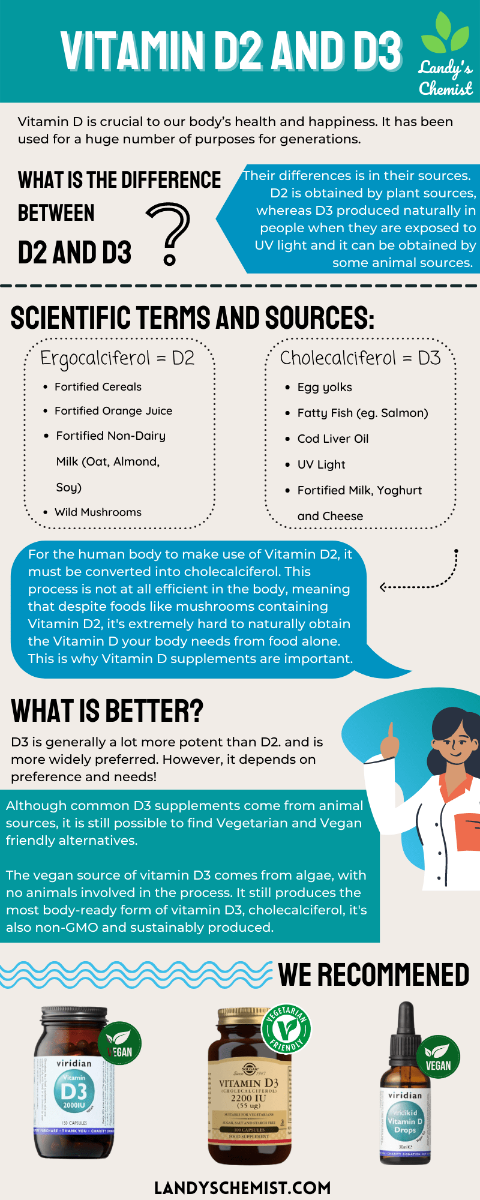 The Difference Between Vitamin D2 and D3