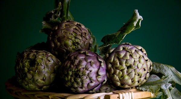 what is artichoke