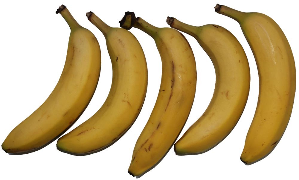 Bananas provide a reliable source of potassium