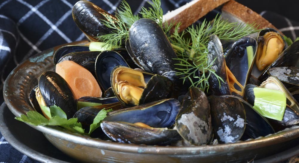 Mussels are rich in copper