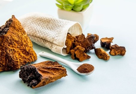 Chaga-mushroom-coffee-benefits