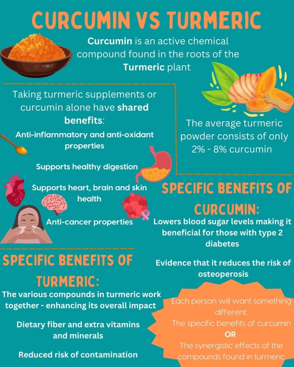 curcumin vs turmeric infographic
