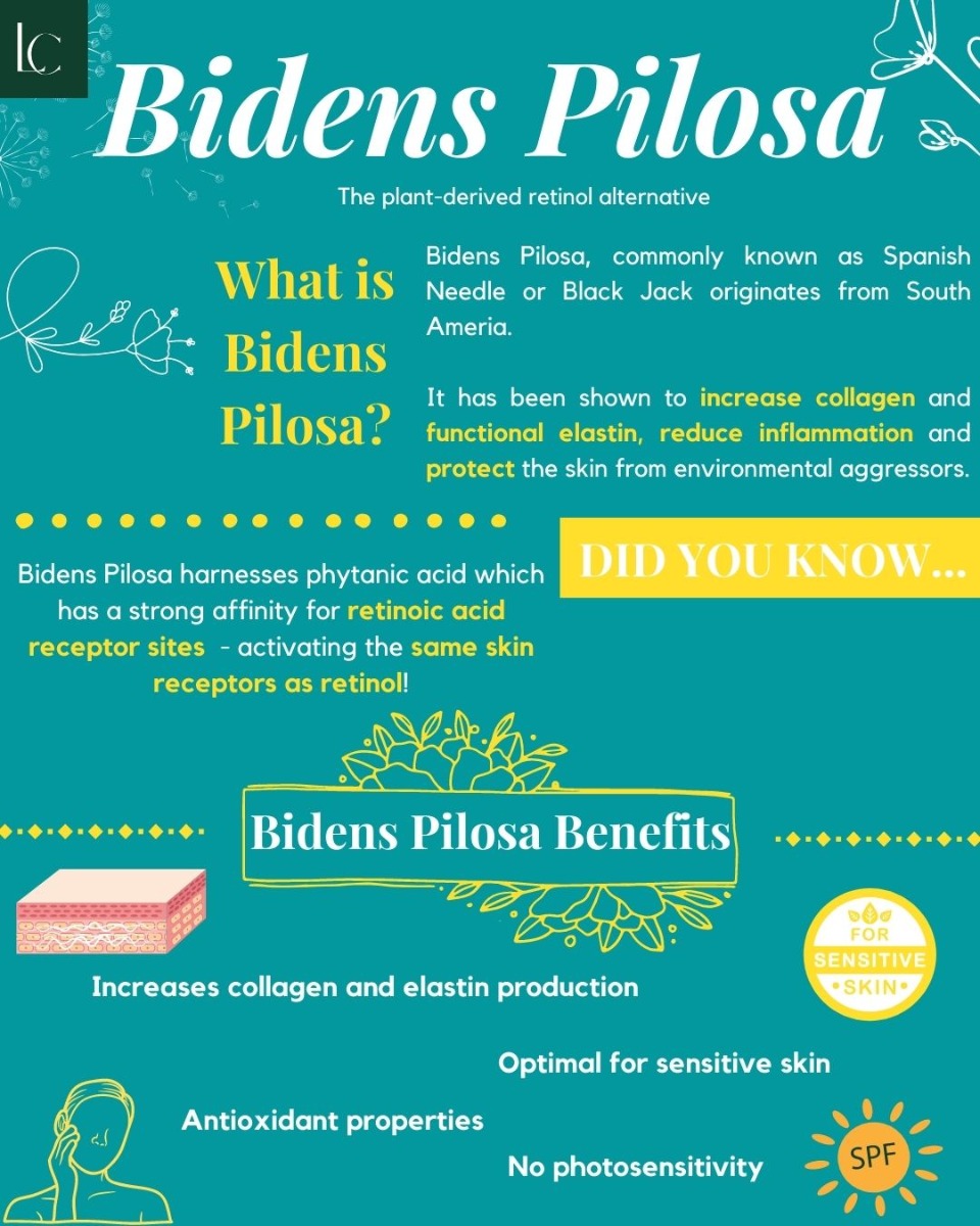 bidens pilosa retinol alternative