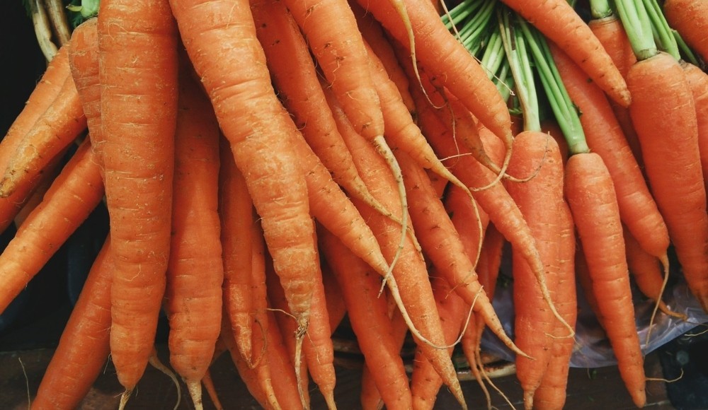 bunch of carrots