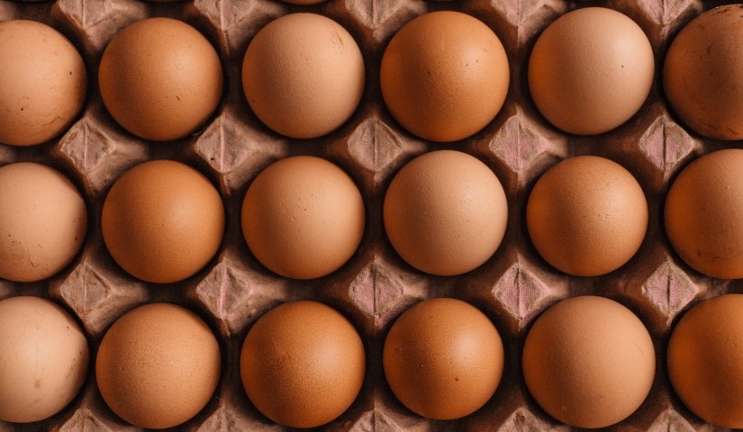 tray of eggs