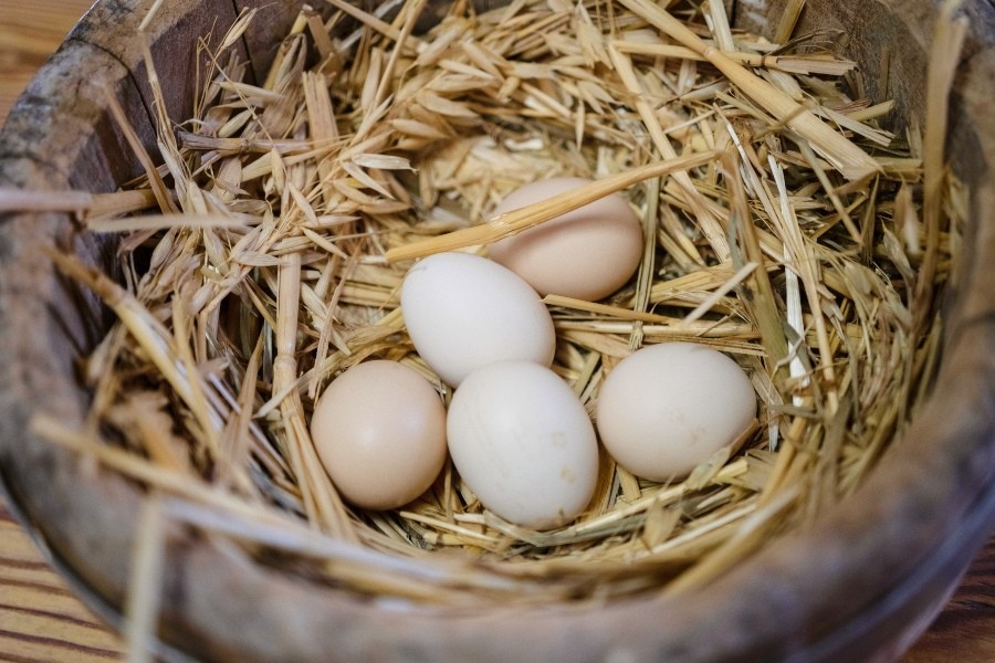 eggs in wooden bowl