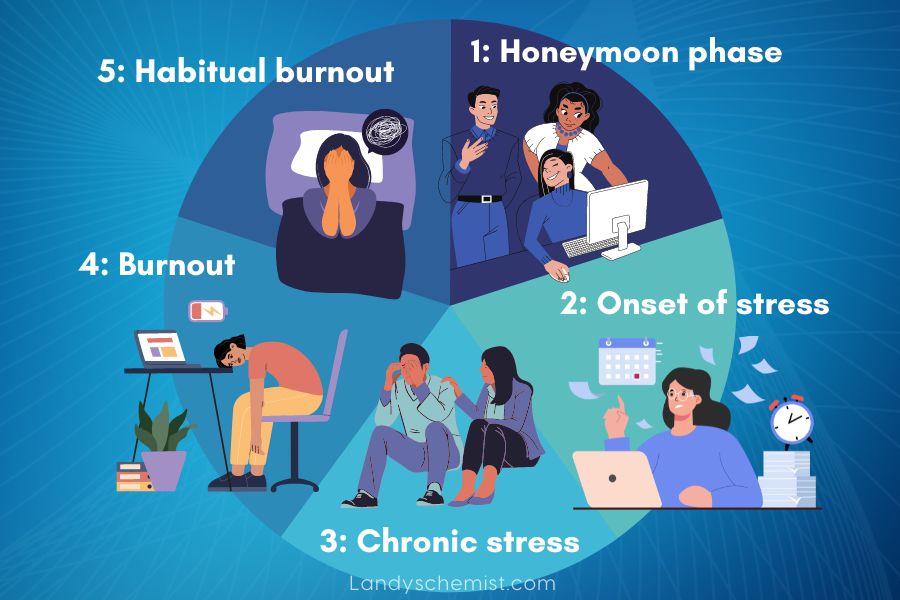 the five stages of burnout diagram