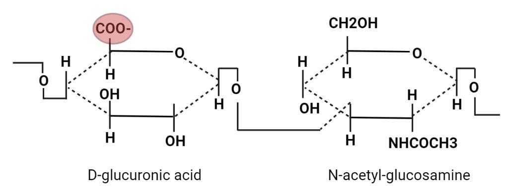 hyaluronic acid structure