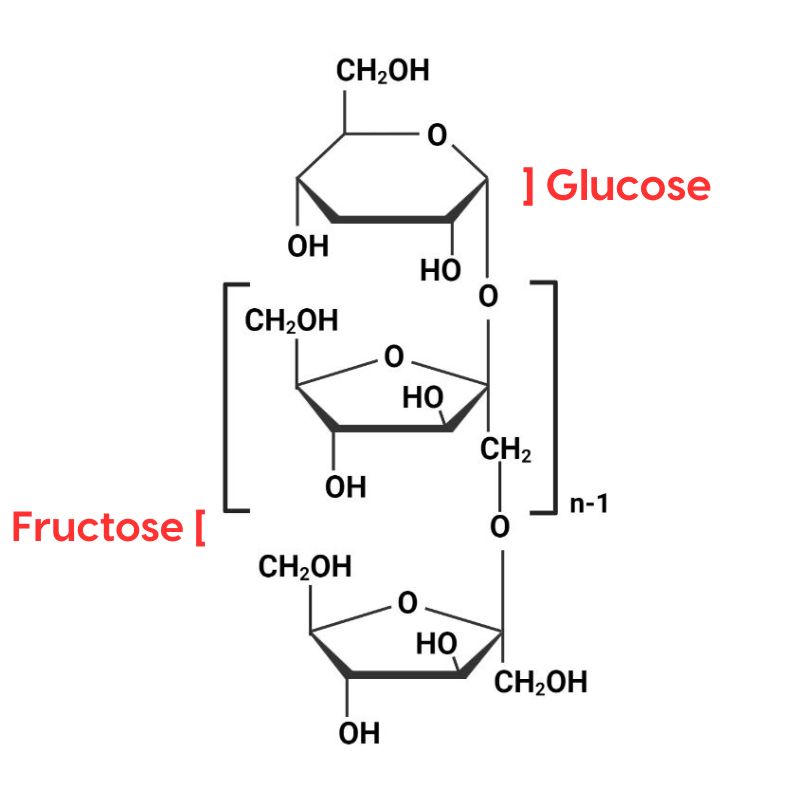 Inulin Structure