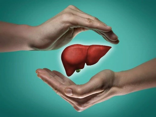 Liver Health