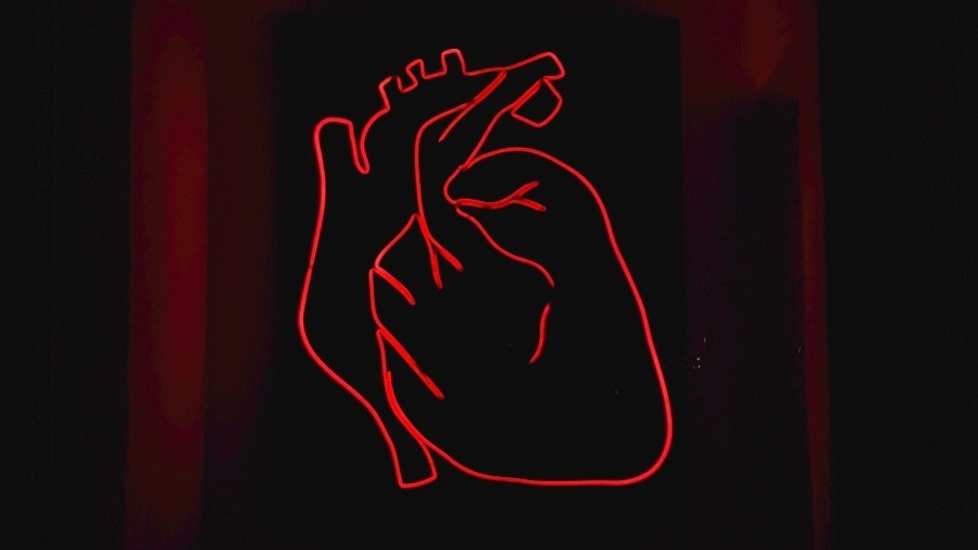 red neon outline of human heart