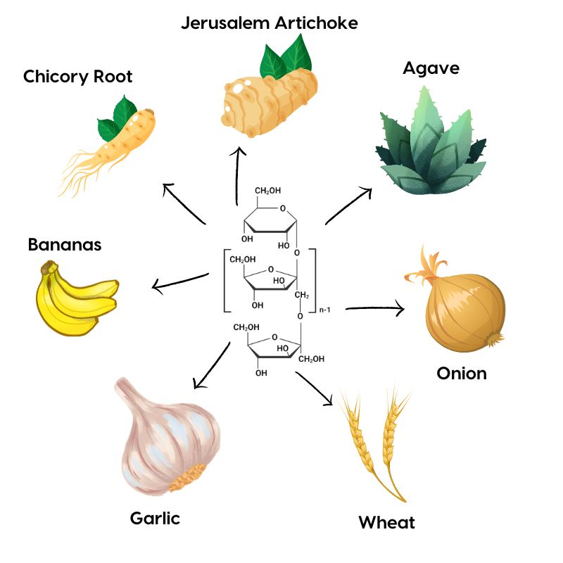 Sources of Inulin